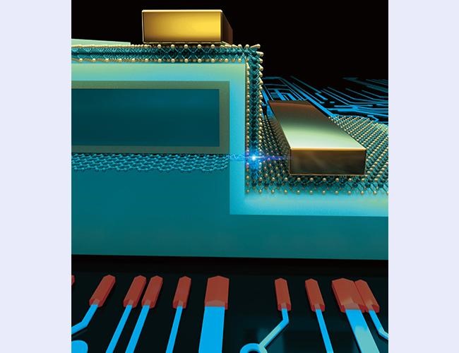 20220310-清华大学集成电路学院任天令教授团队小尺寸晶体管研究取得重大突破，首次实现亚1纳米栅长晶体管-集成电路学院-亚1纳米栅长晶体管结构示意图.jpg